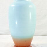 Vase in opaline opaline glass hand painted flower decoration