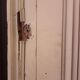 Haussmannian door 83x219 with old glazed transom frame 100x310 interior