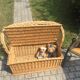 Toy box bench vintage rattan
