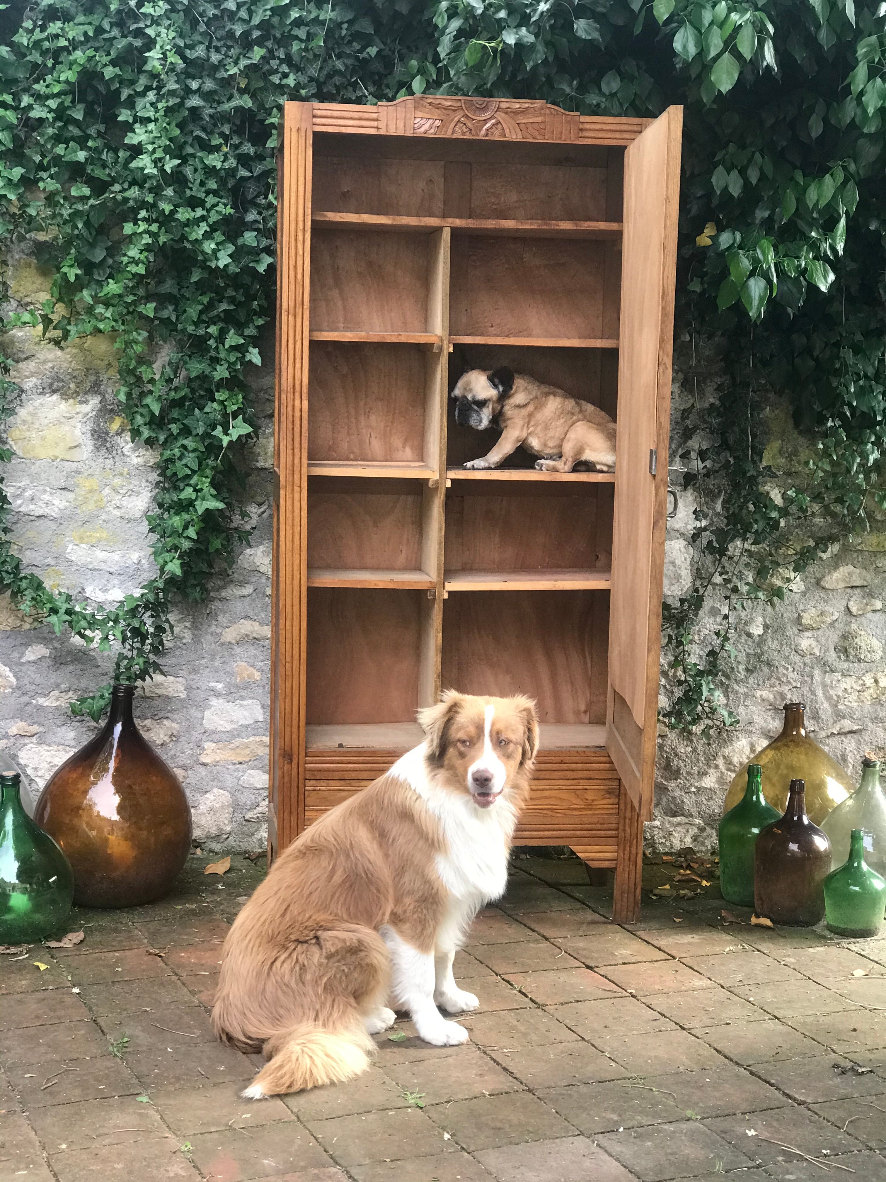 Parisian art deco wardrobe