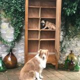 Parisian art deco wardrobe