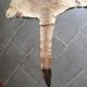 Kangaroo skin Curiosity cabinet
