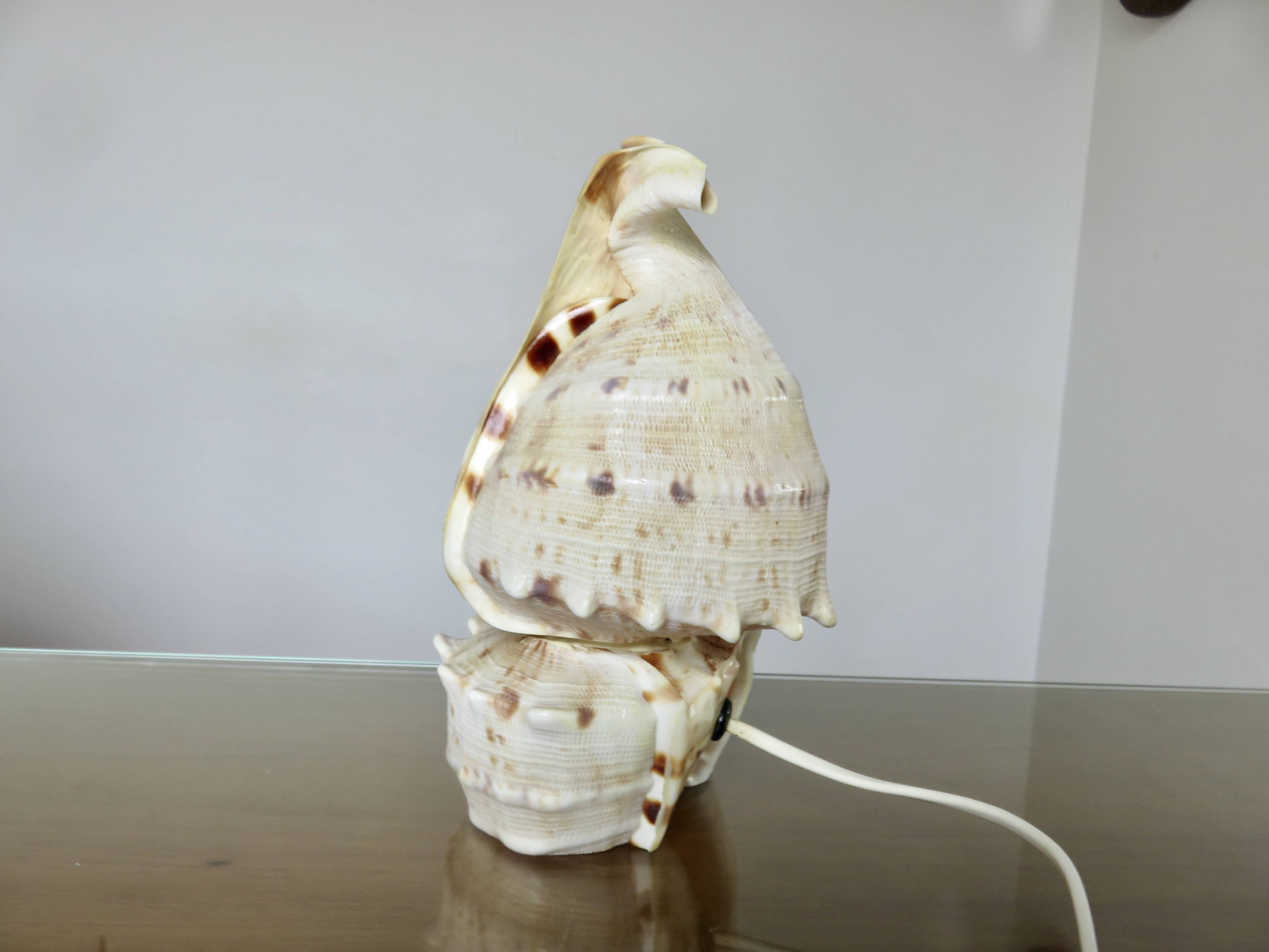Lampe coquillage "cassis cornita" années 70