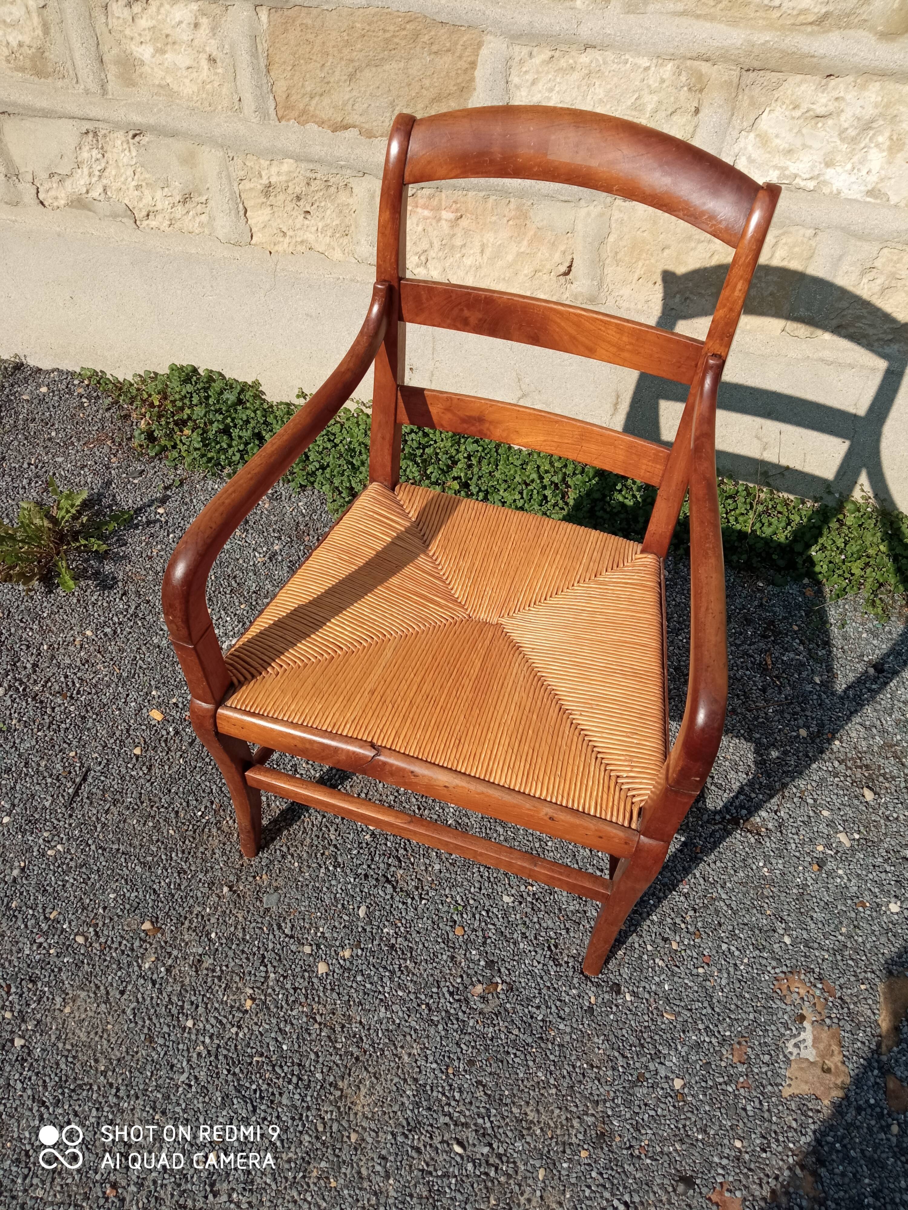 Walnut armchair