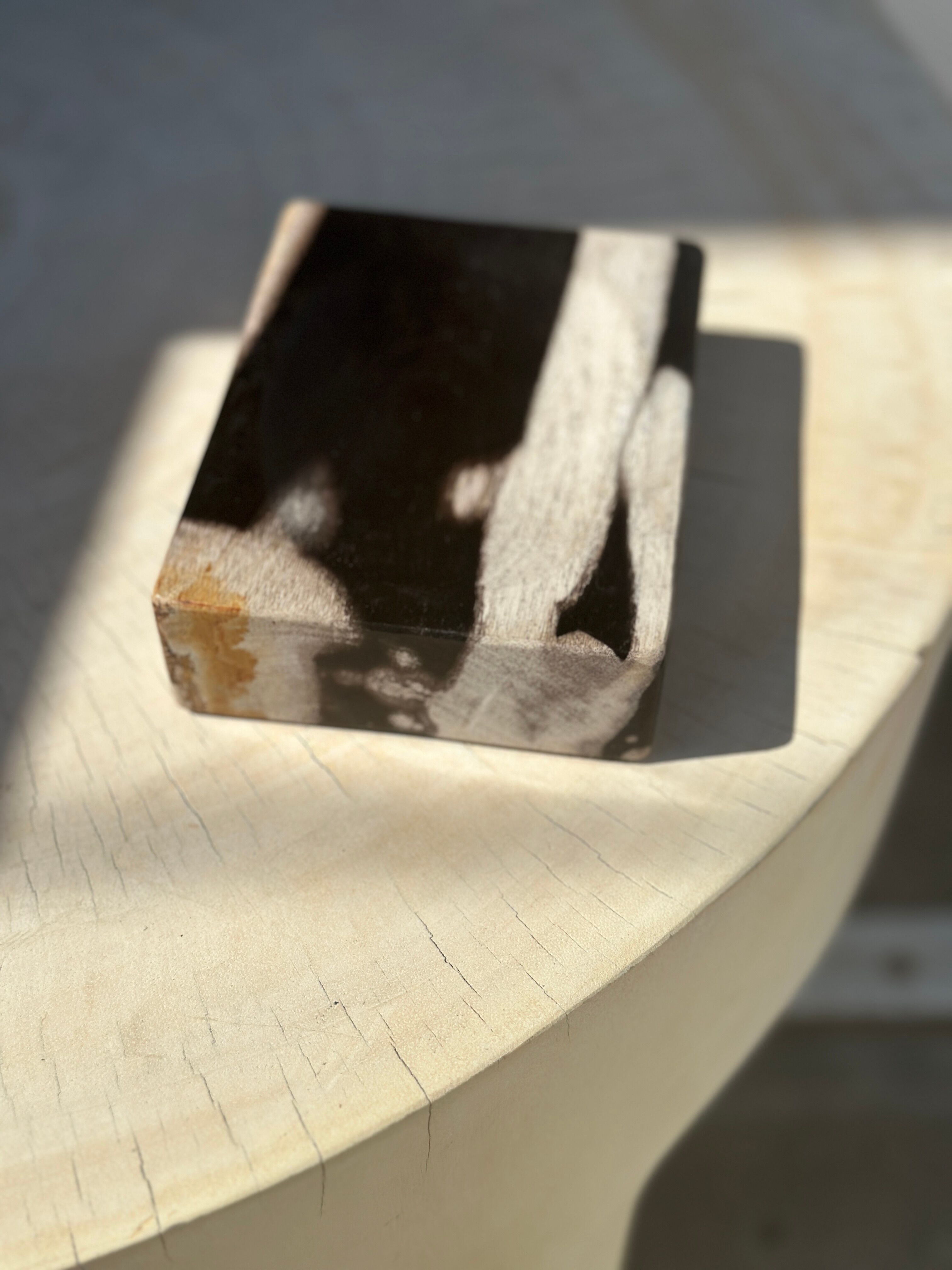 Symmetrical multicolored petrified wood soap dish