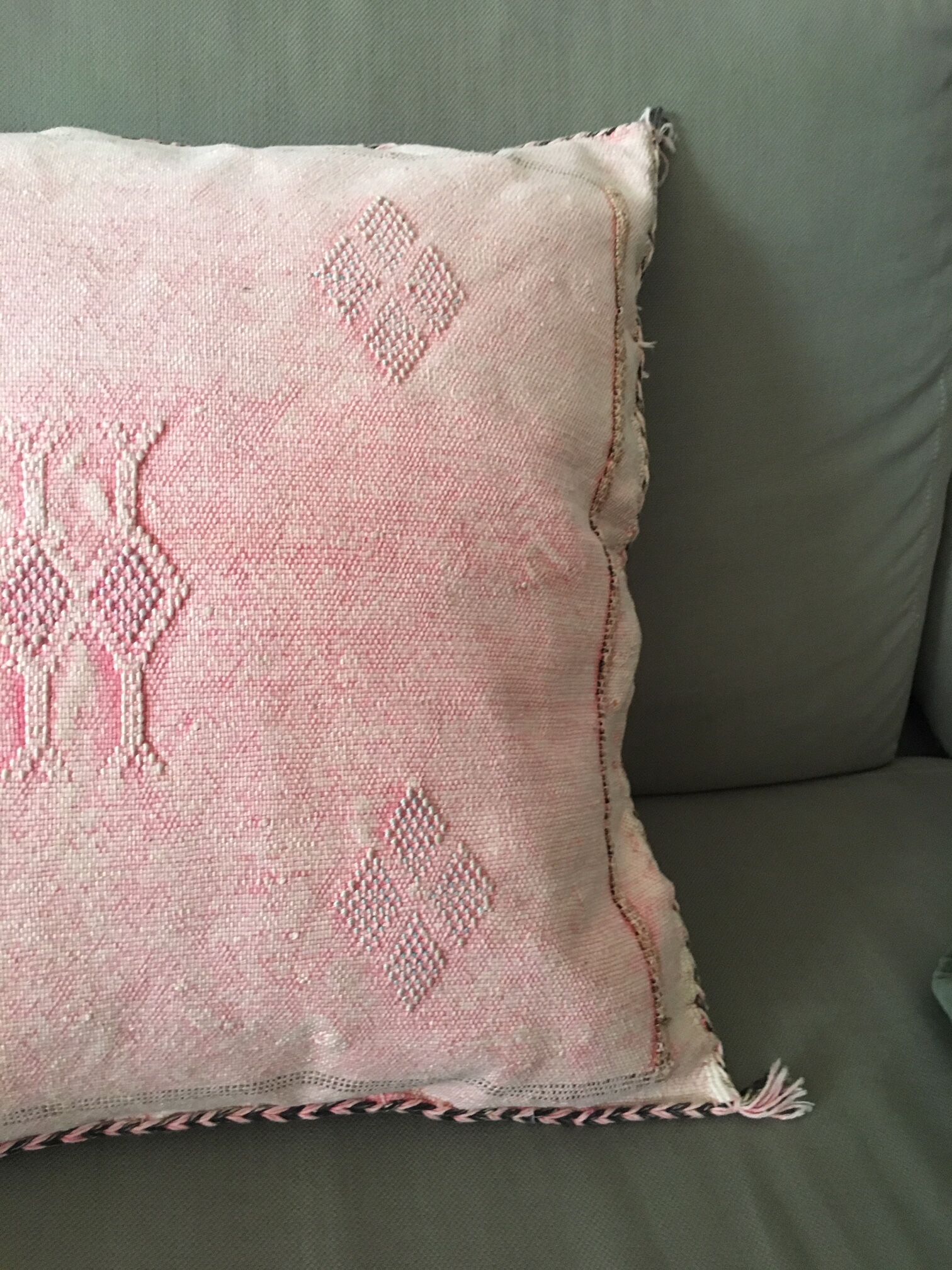 Vegetable silk cushion cover