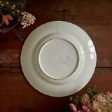 Set of 12 Longwy flat plates, Chrysanthemums model