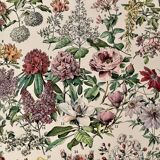 Lithograph on flowers (trees and shrubs) - 1930