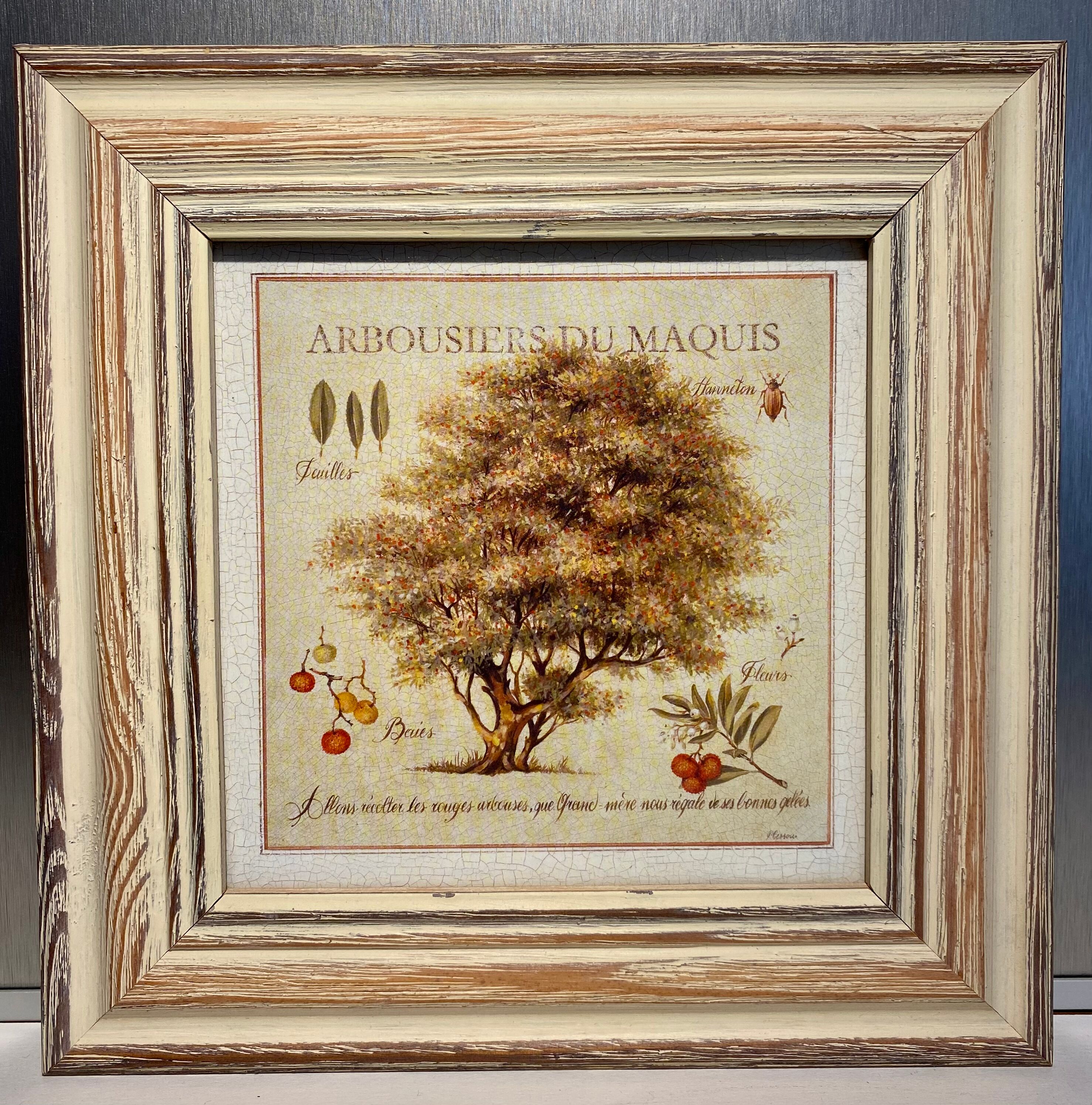 Botanical painting, arbutus trees of the maquis, XXI century