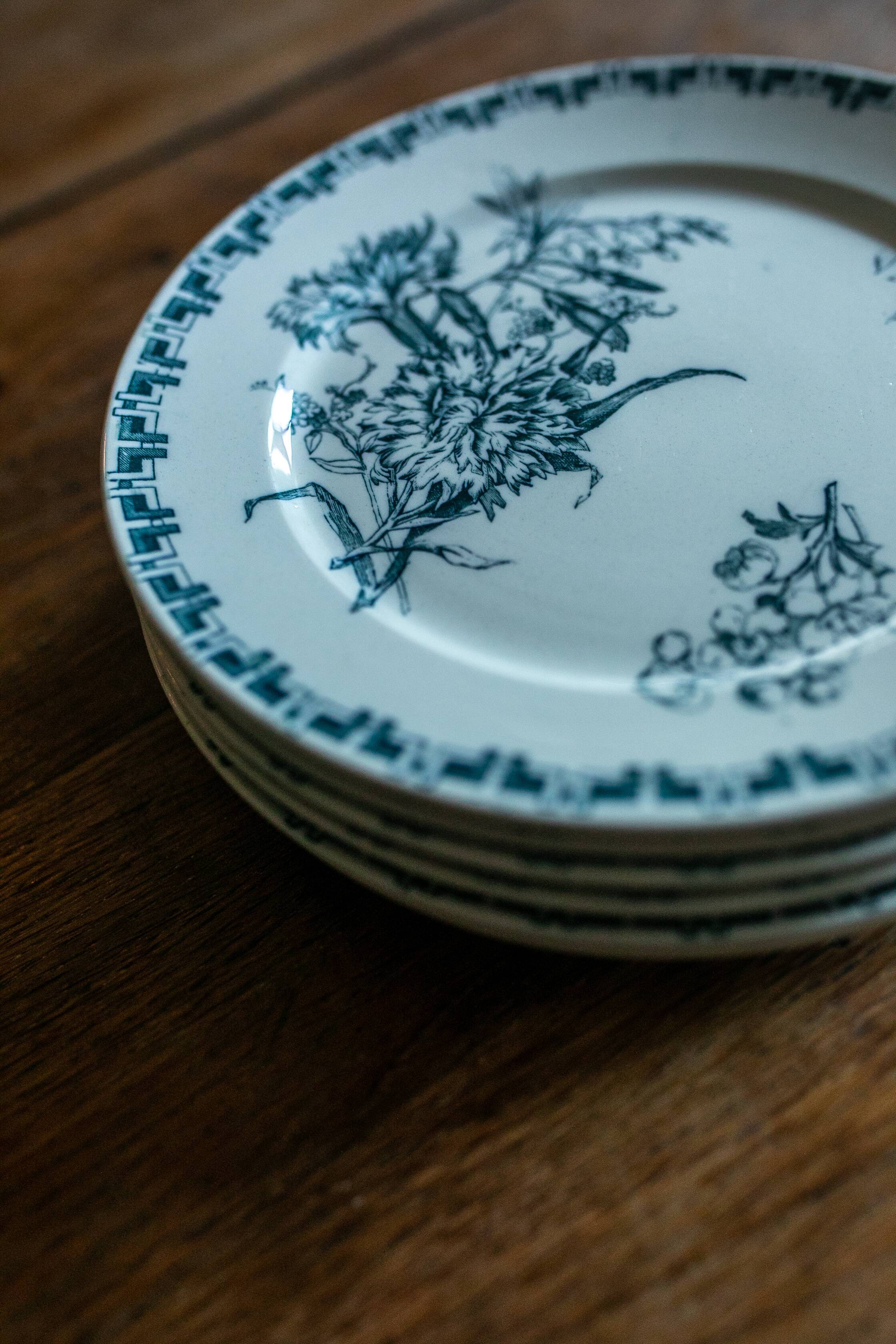 Les 6 assiettes sarreguemines