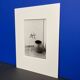 Artist's film photography
