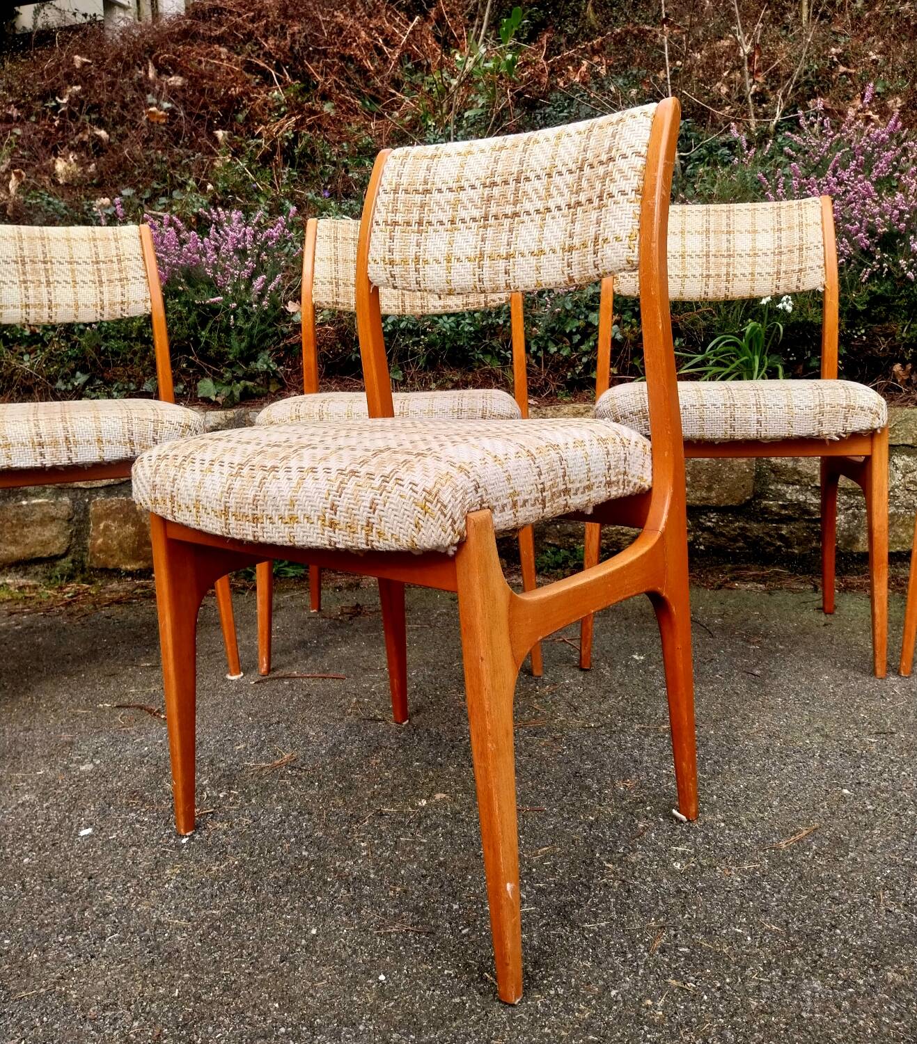 6 chairs 1960