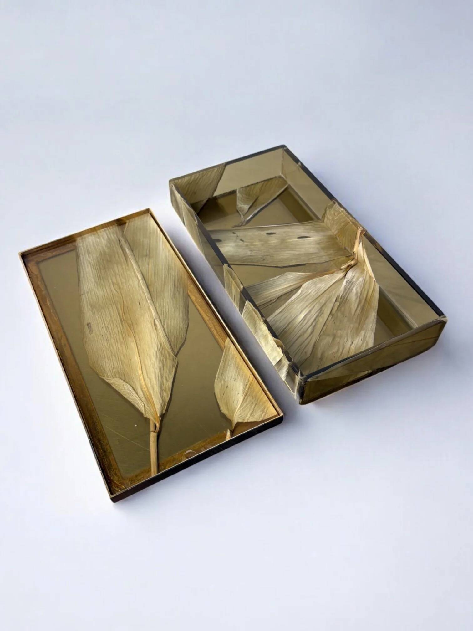 Aldo Tura style vanity box in lucite with dry tobacco leaves, 1970s