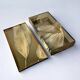 Aldo Tura style vanity box in lucite with dry tobacco leaves, 1970s