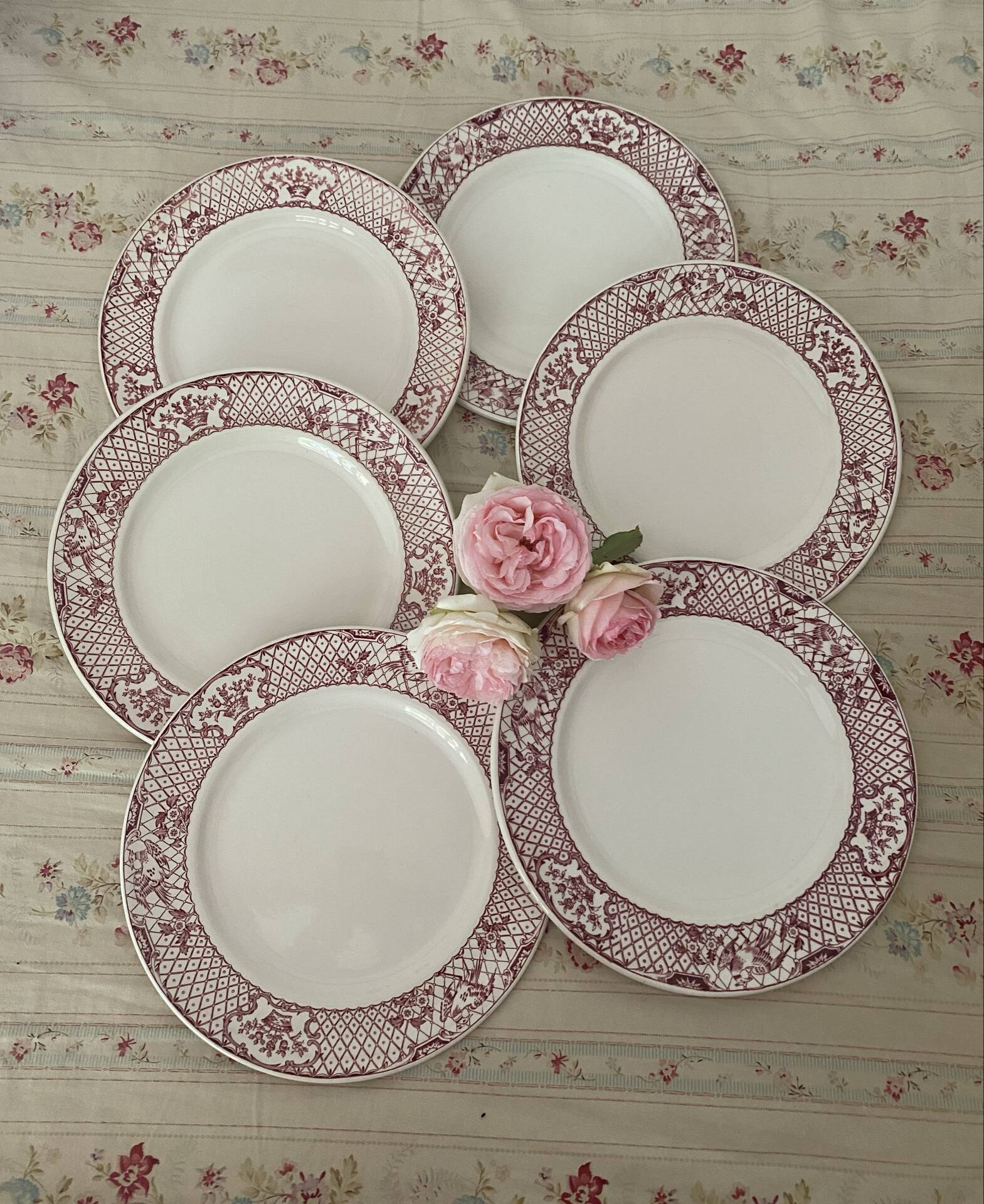 Set of 6 flat plates in Mason ironstone.