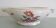 Limoges enamelled porcelain soup tureen