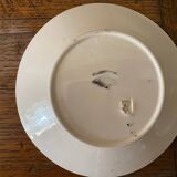 Cup and saucer in Iron Earth Badonviller apricot décor