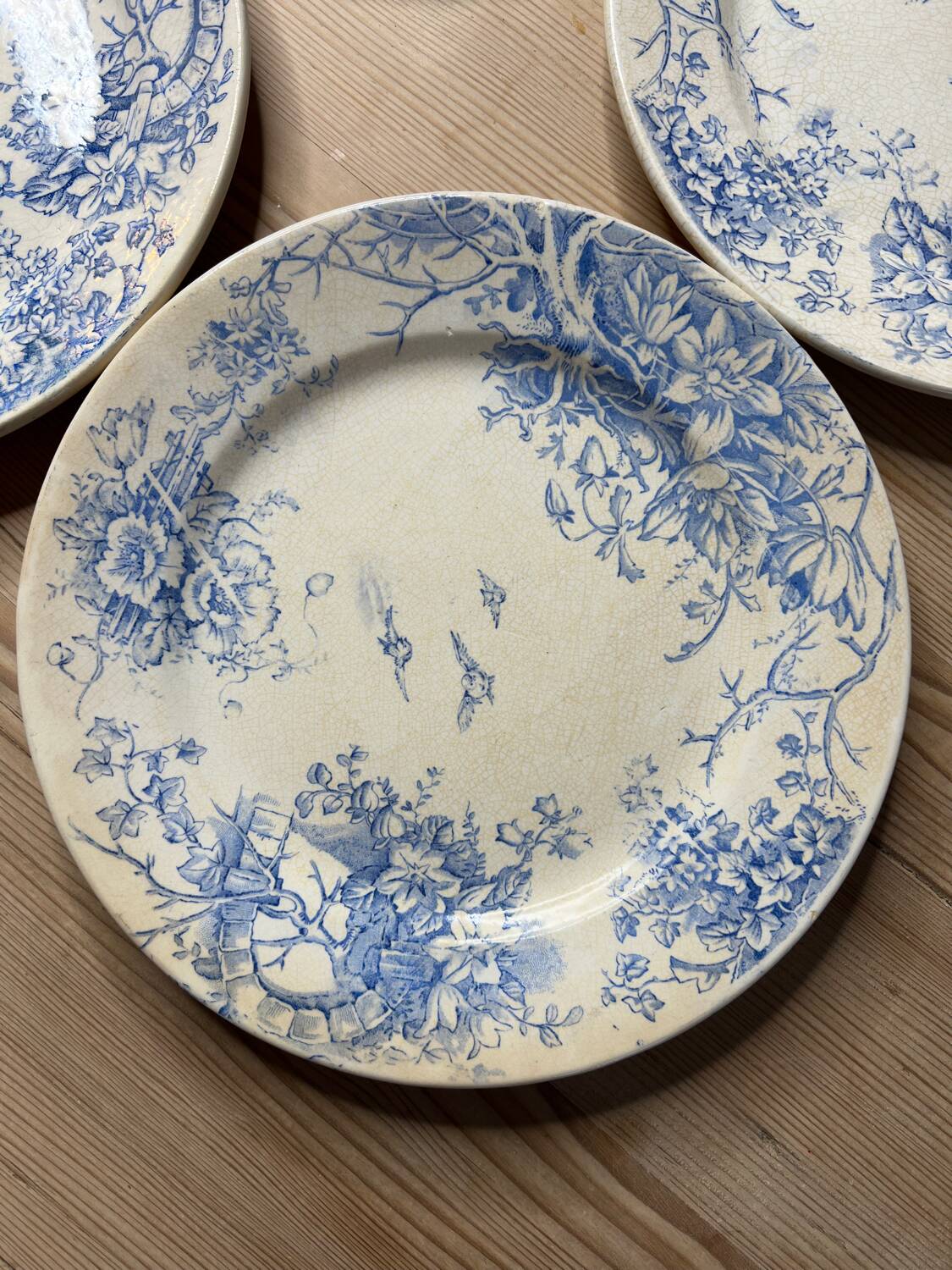 Set of 6 vintage dinner plates