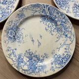 Set of 6 vintage dinner plates