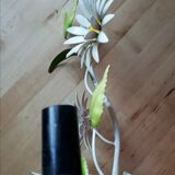 Marguerites painted sheet wall lamp