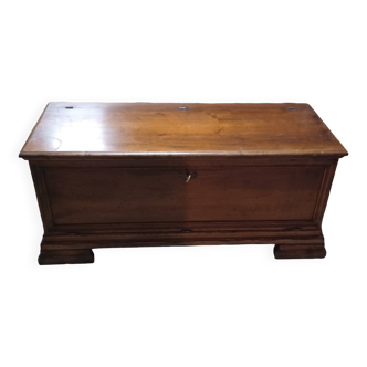 Chest