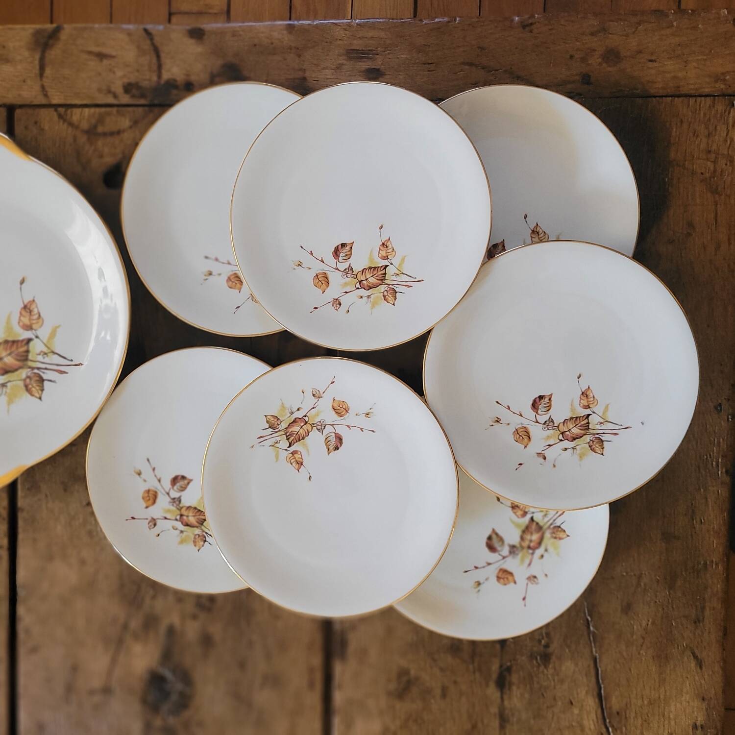 Assiettes à dessert & Plat Porcelaine Royal Émail de Vierzon