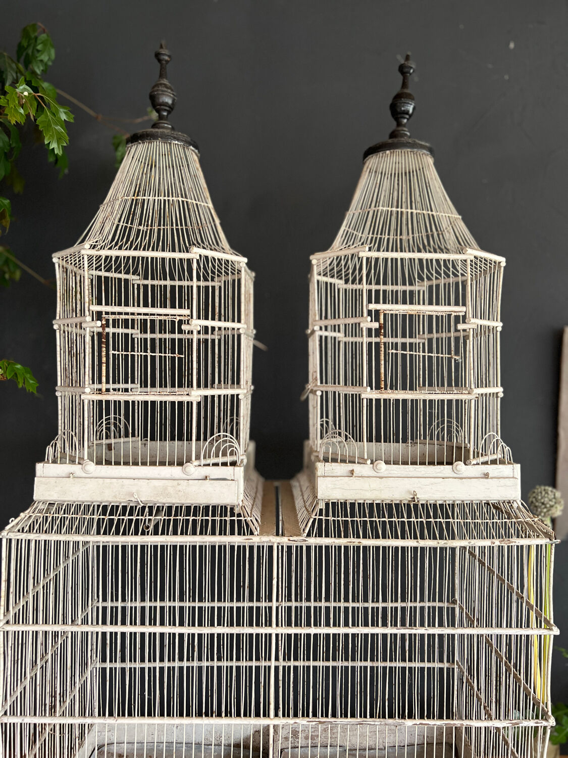 Large old cage napoleon 3