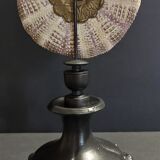 Cabinet of Curiosities sea urchin toxopneustes pileolus on base