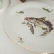 Decorative plate vintage fish mid-century, Bavaria, Germany, 1970s