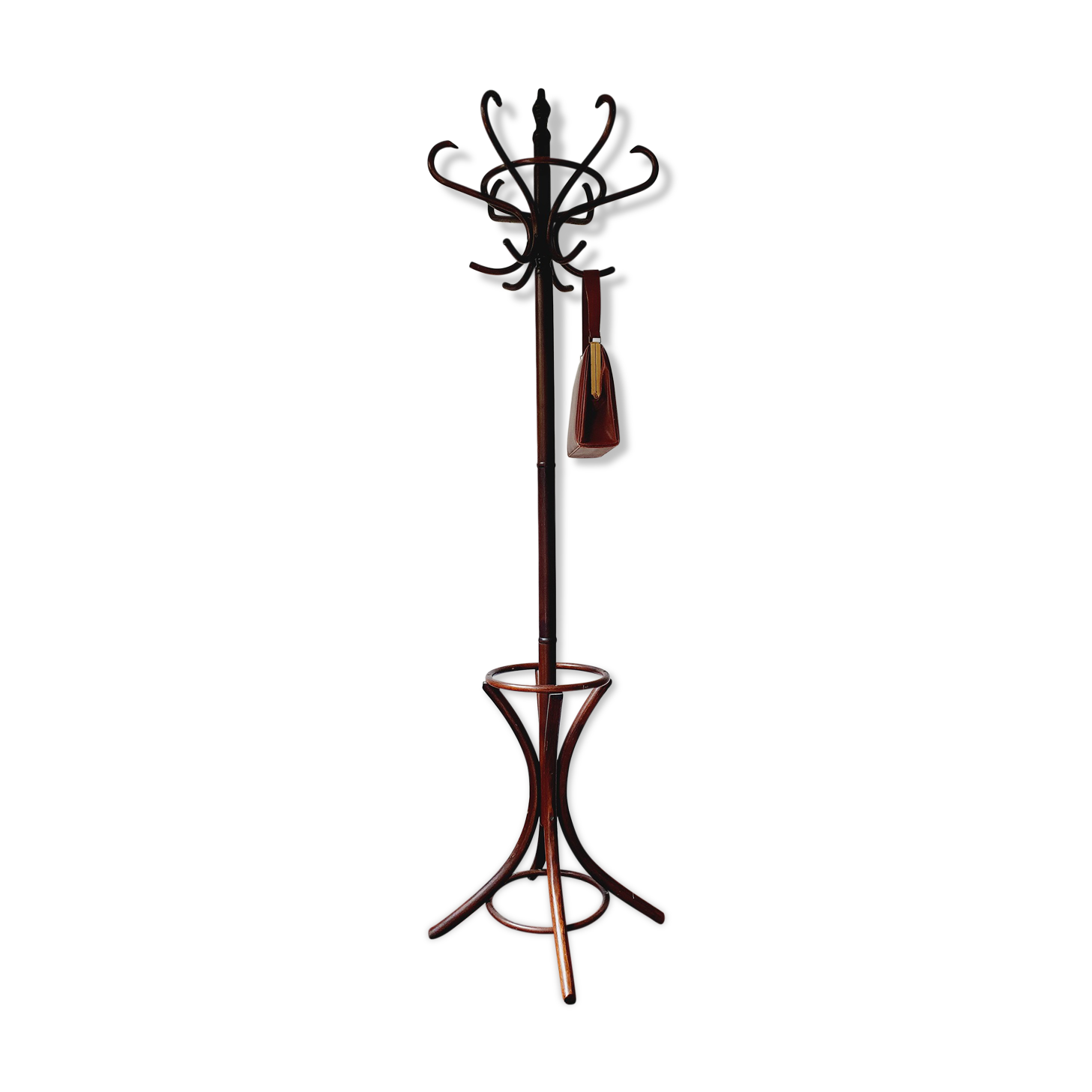 Parrot coat rack in curved wood