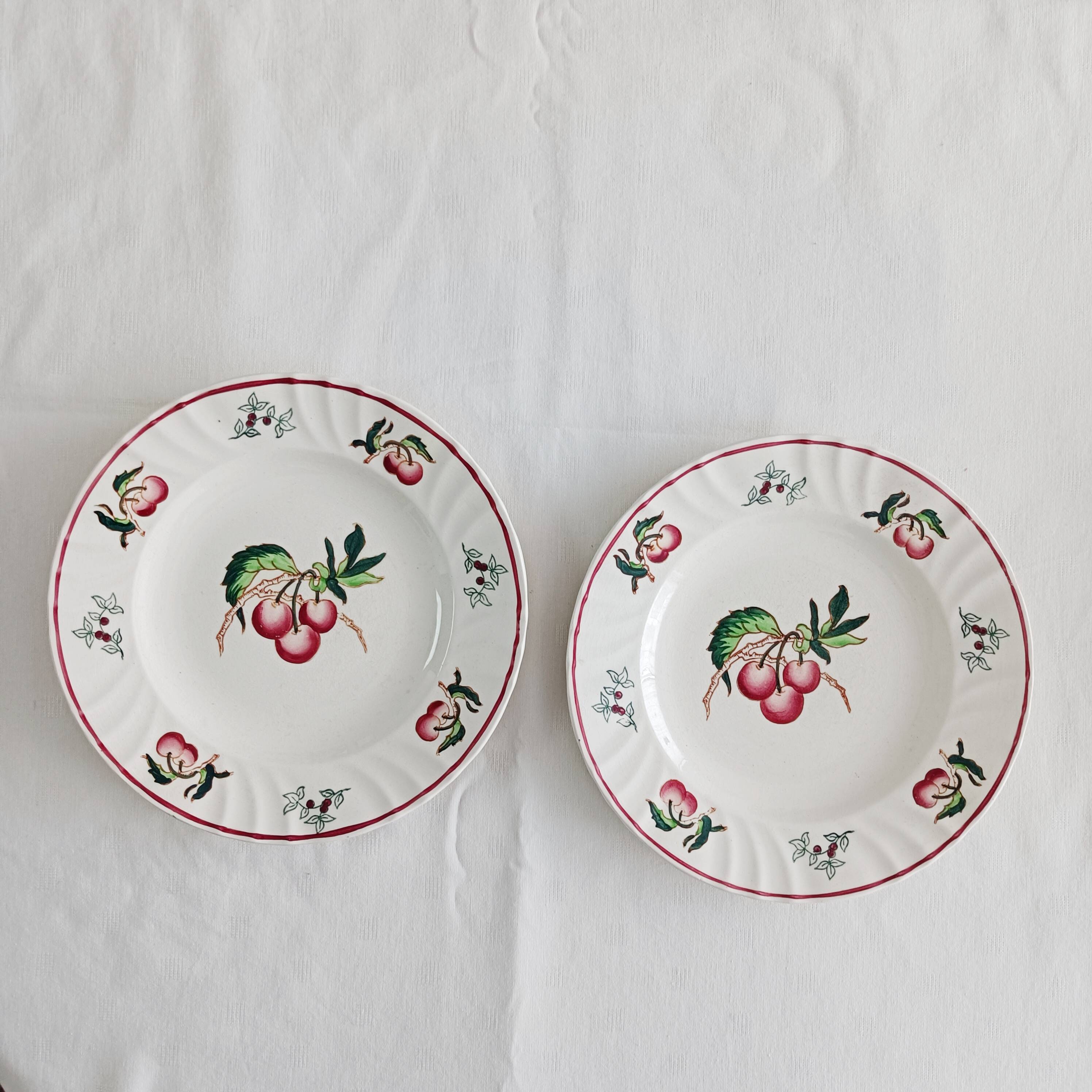 Set of 2 Longwy Montmorency flat plates