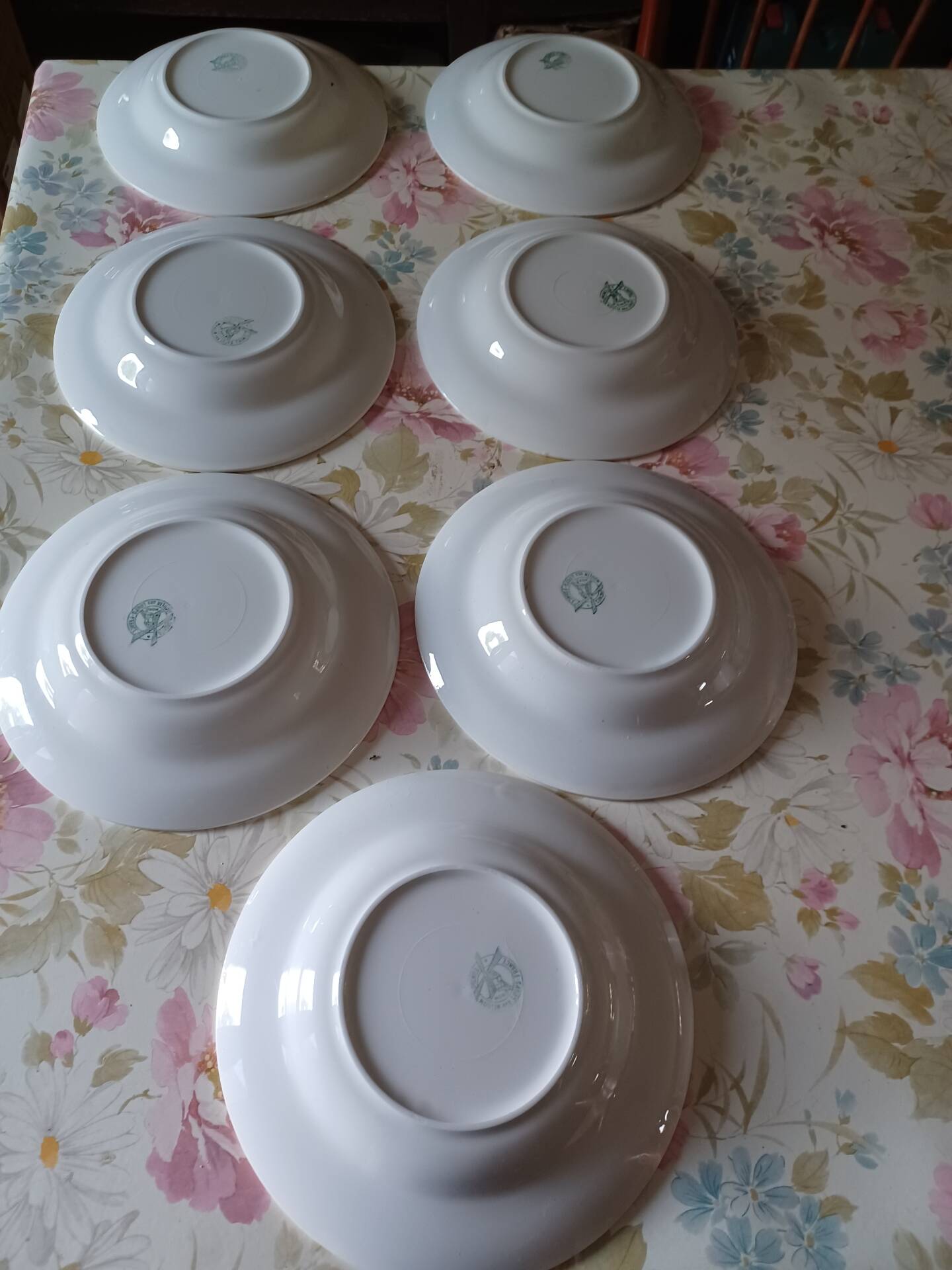 Set of 7 deep plates Moulins des Loups