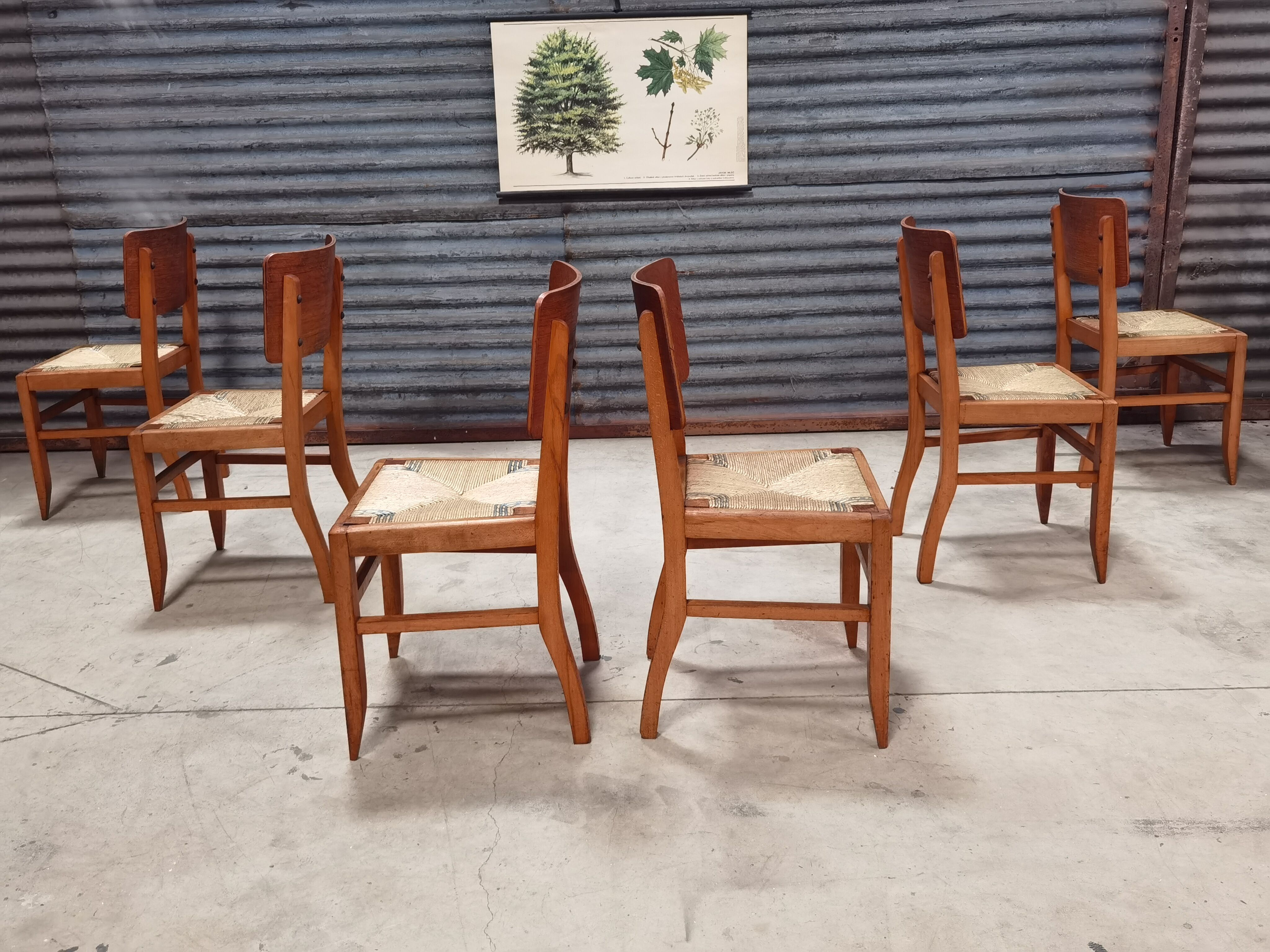 Set of 6 chairs straw wood reconstruction