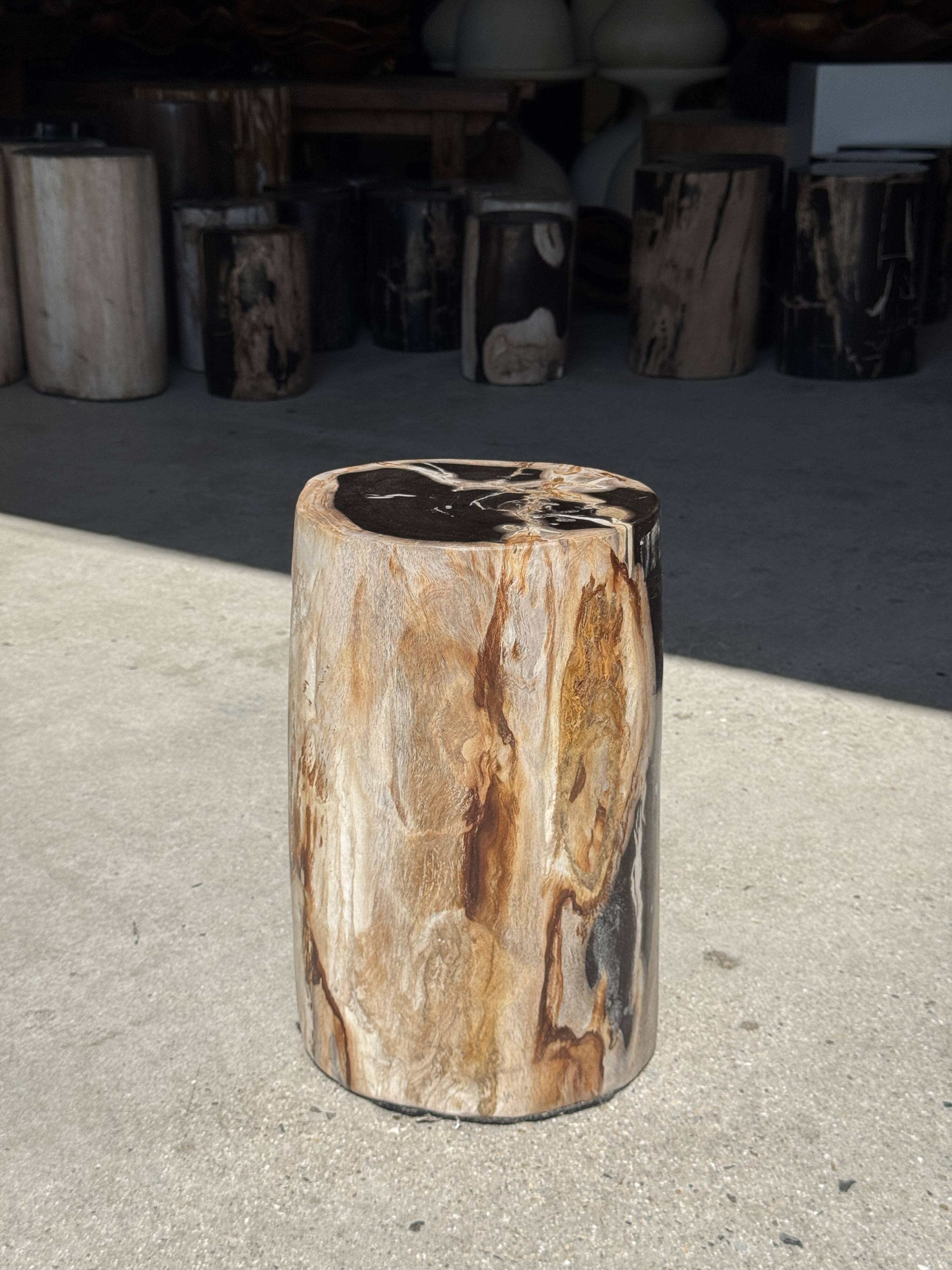 Petrified wood side table, black heart, beige bark, H35 D22 - 3330