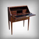 Rosewood and Mahogany Sloping Desk, Louis XVI Style – Mid-19th Century