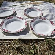 Lot of 10 deep and flat plates Ceranord St Amand model Roubaix +2