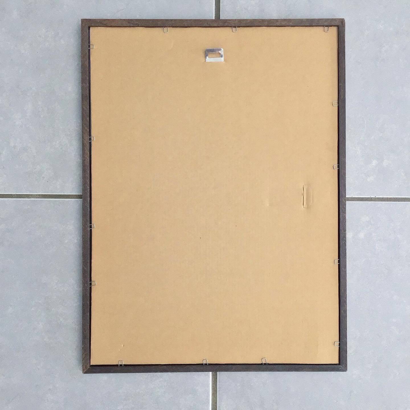 Vintage parakeet lithograph frame