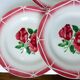 6 assiettes plates vintage de Digoin Sarreguemines modèle Cibon 210365