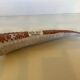 Glazed terracotta bouquet holder Rik Ryon potter