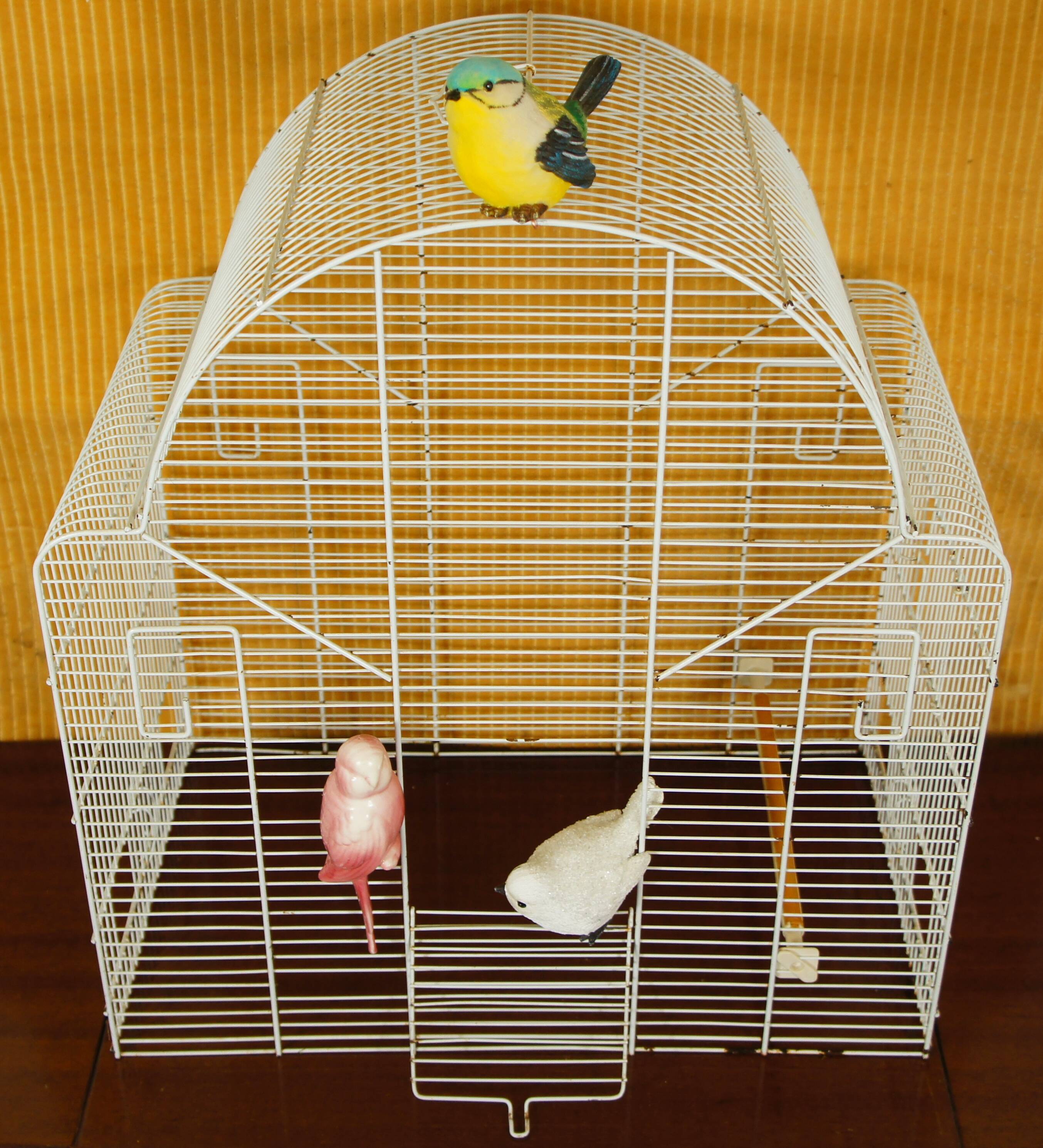 Decorative bird cage & its 3 piafs