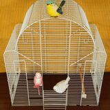 Decorative bird cage & its 3 piafs