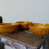 Mustard yellow sunflower cups