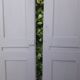 Pair of doors 242,5x116 of antique closet