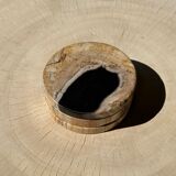 Set of 3 fossilized wooden coasters (clear)