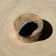 Set of 3 fossilized wooden coasters (clear)