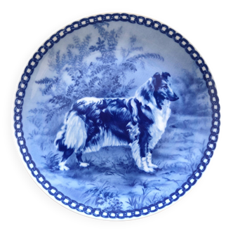 Assiette chien Collie porcelaine danoise