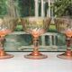 Rosaline champagne glass 70s design