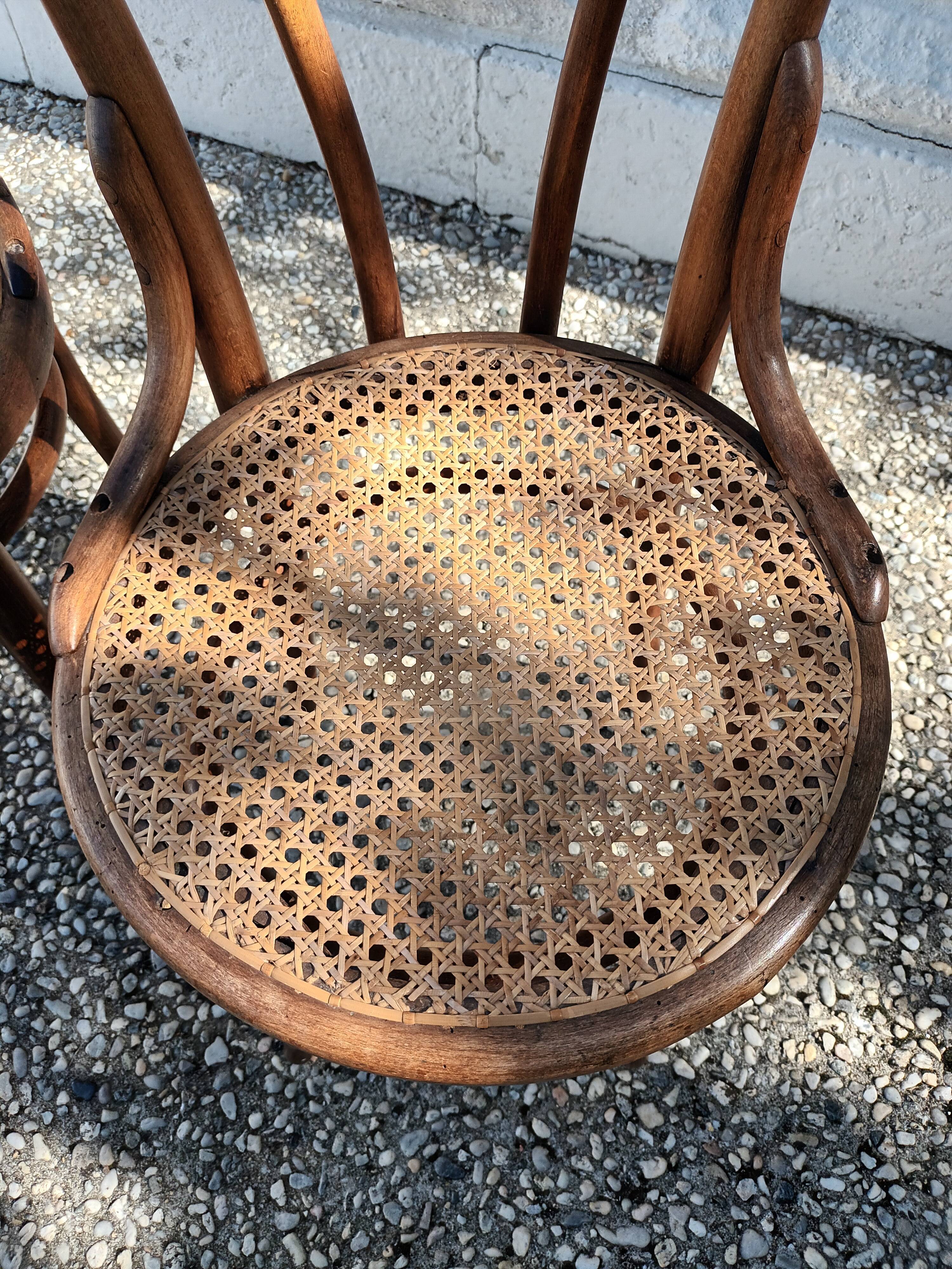 Chairs Thonet