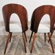 Dining Chairs by Antonin Suman, 1960s, Set of 4