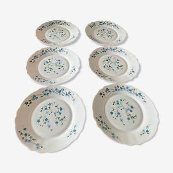 Vintage forget-not dessert plates